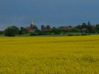 Słońsk - Våren